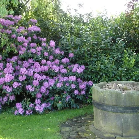 Grosszuegiges Haus Mit Traumhafter Gartenanlage By Interhome * Rodewald